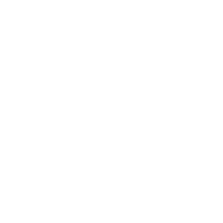 About_Page_Numbers_Icon-04
